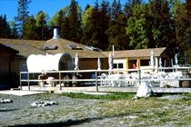 Bar C Ranch Cochrane Ngoại thất bức ảnh